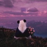 铁观音原叶真茶