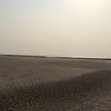 blank_