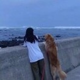 二元