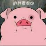 画船听雨眠