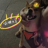 希希樂