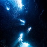 海蓝时见鲸