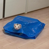 请进🚮