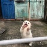 北