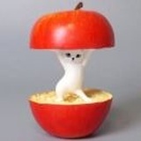 王点点