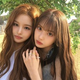 玫瑰椰