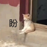 向前方攻击