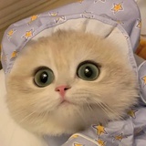 歪比巴卜