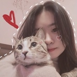 Mika酱