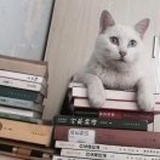 南宸先生