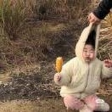 不问所起