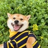 叮 又一日