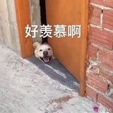 静静吃仙豆糕