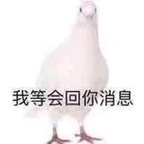 十八线女星铁芝