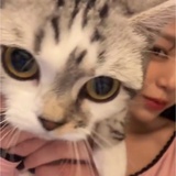 猪油烧葱姜