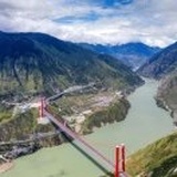 丽丽梅
