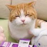 暮色尘埃