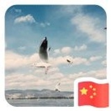 陈林斌จุ๊บ