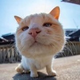 啦啦啦啦
