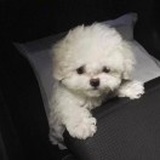 写什么好呢