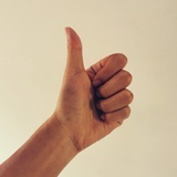 德智体美四开花