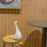 一只小吴鸭