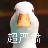 芝麻酱香大饼子