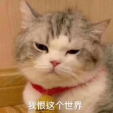 次瓜瓜
