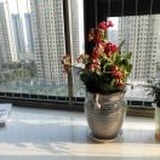 拈花不语