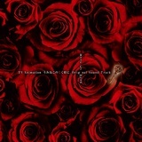 S大工学系见习巫师