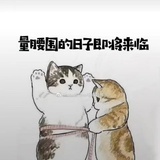 美年达冲冲冲
