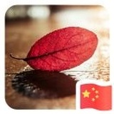 梁光辉