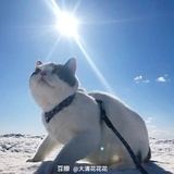 江河
