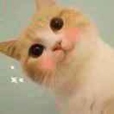 美了美了^0^俐儿