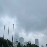贝贝猪啊呀
