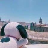 梅子🐰