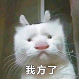 摩西摩西