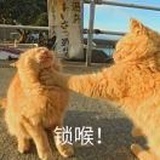 娜个宝贝呐