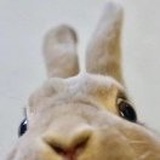 四时与我做知己