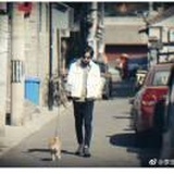 哦懒胖儿