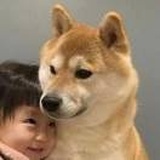 何禾