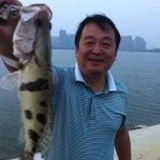 已注册