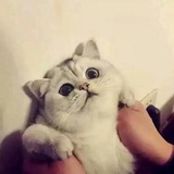 落幕