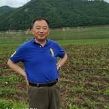 艾磊2020
