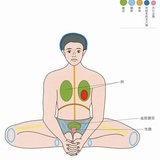 养生功爱好者