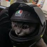 后脚脖子生皴君