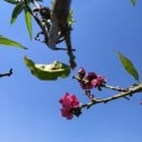 涤生