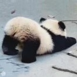 半個單位的怪獸