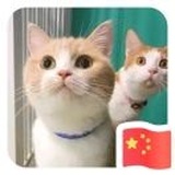露露酱👧🏻