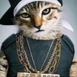 猫👊